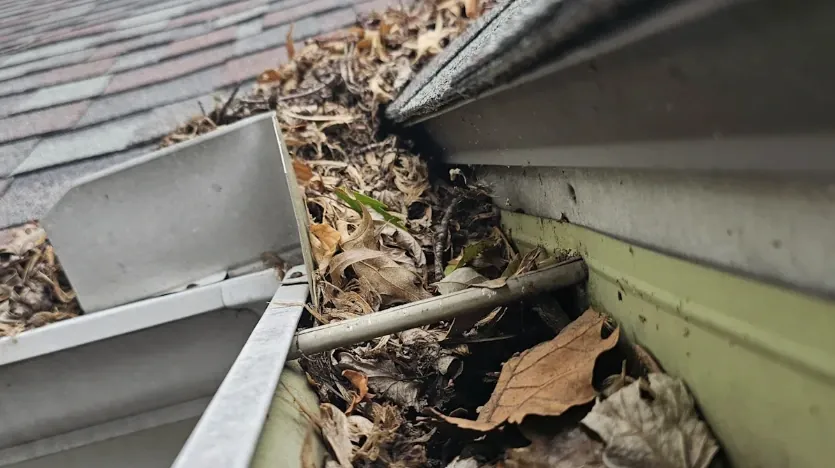 Clogged gutters causing damage at the roof edge